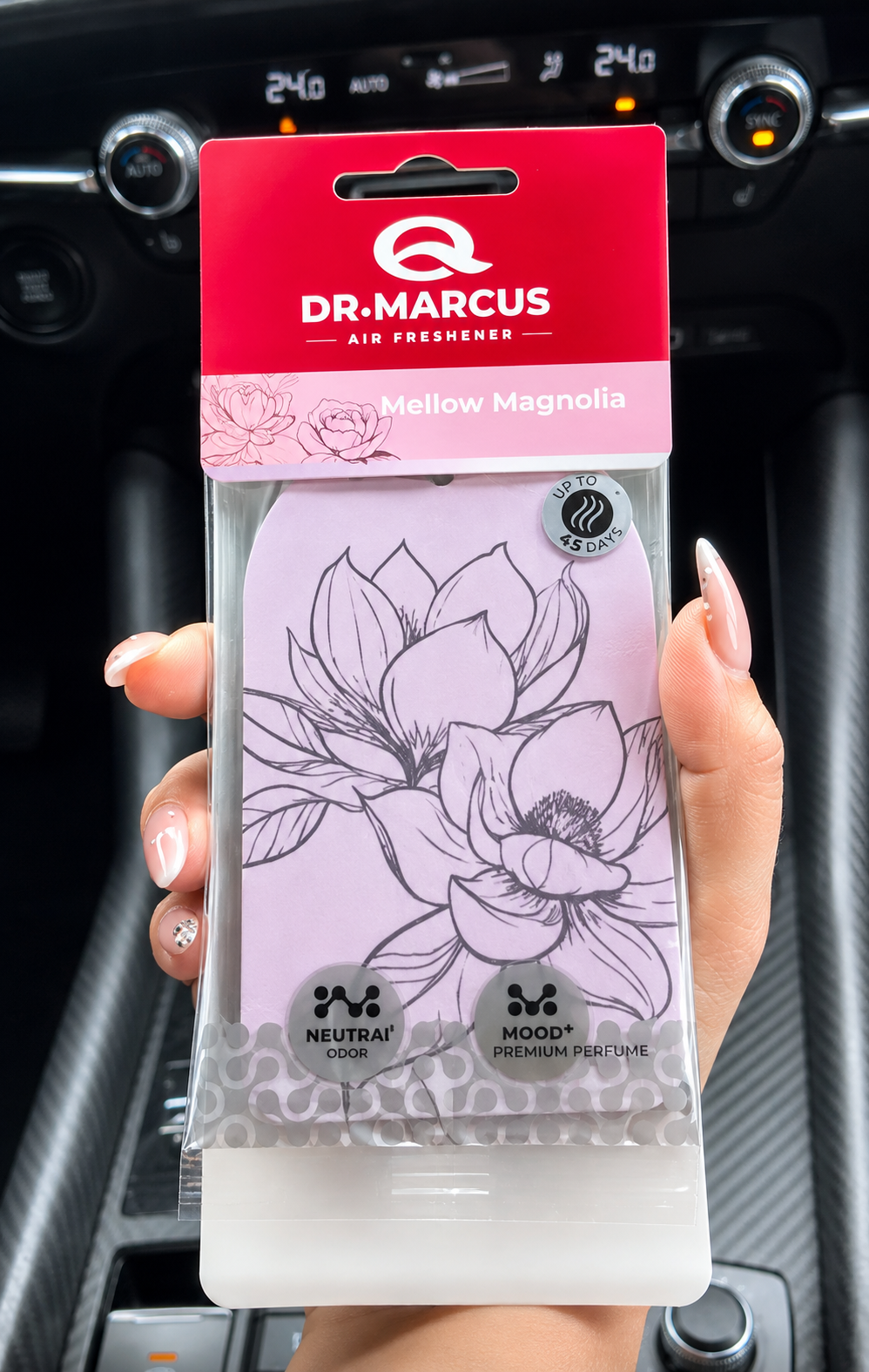 Dr. Marcus - Florista | Mellow Magnolia