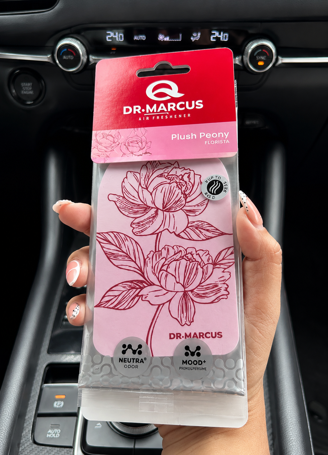 Dr. Marcus - Florista | Plush Peony