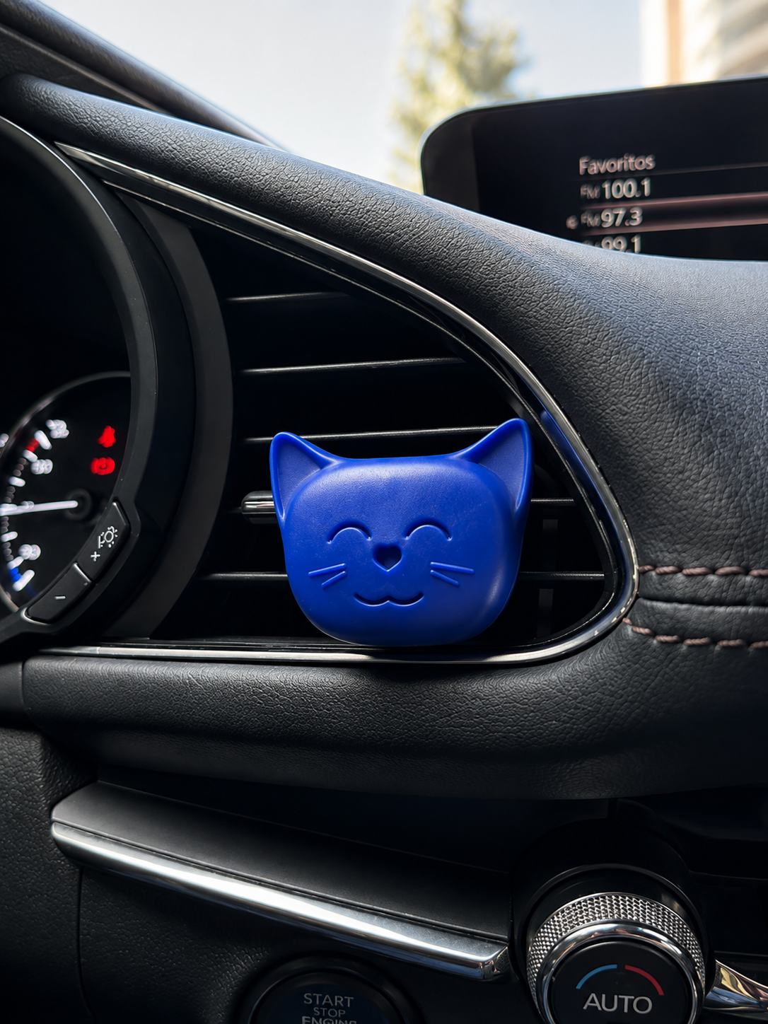 Dr. Marcus - Cosmic Cat | New Car