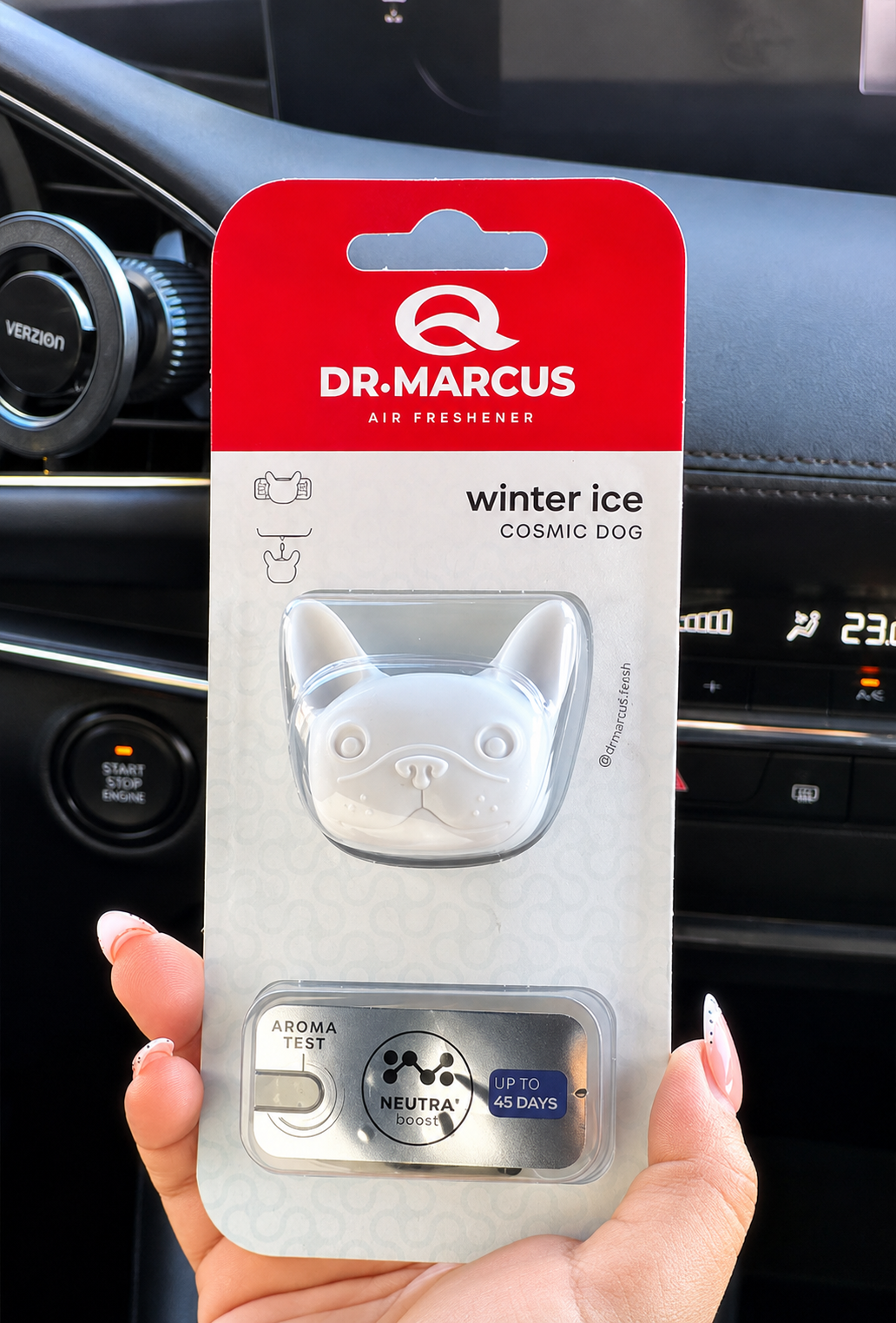 Dr. Marcus - Cosmic Dog | Winter Ice