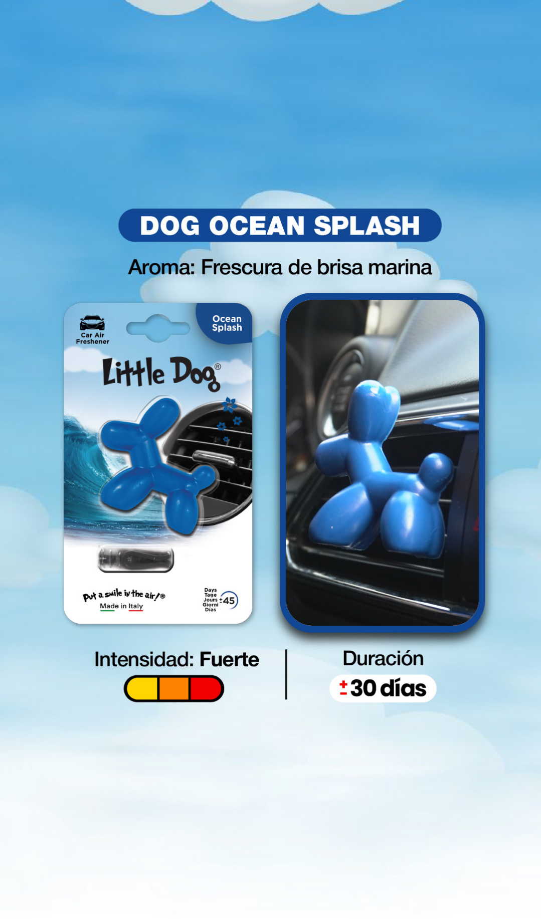 Little Dog® - Ocean Splash