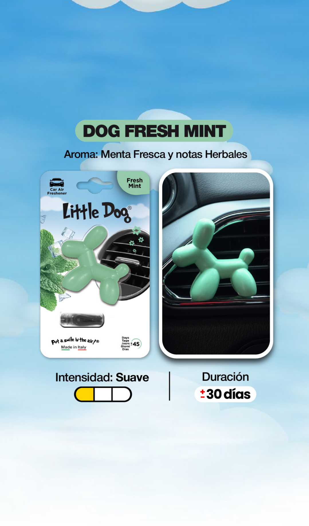 Little Dog® - Fresh Mint