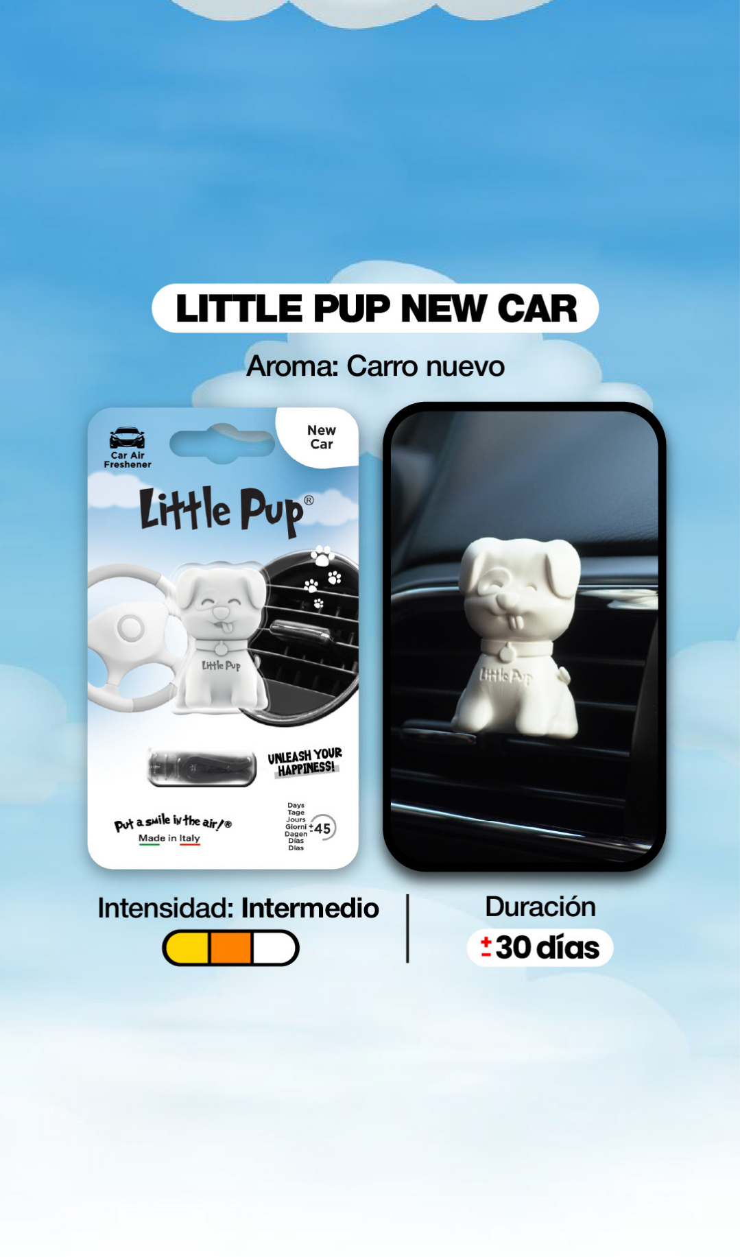 Little Pup® - New Car