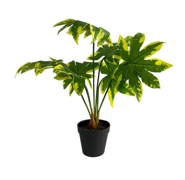 Planta decorativa c/ pote