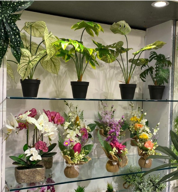 Planta decorativa c/ pote