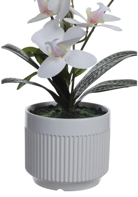Orquidea decorativo Blanca