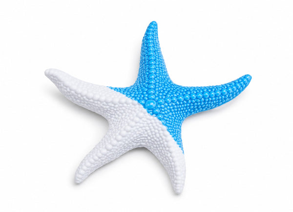 Estrella de Mar Azul