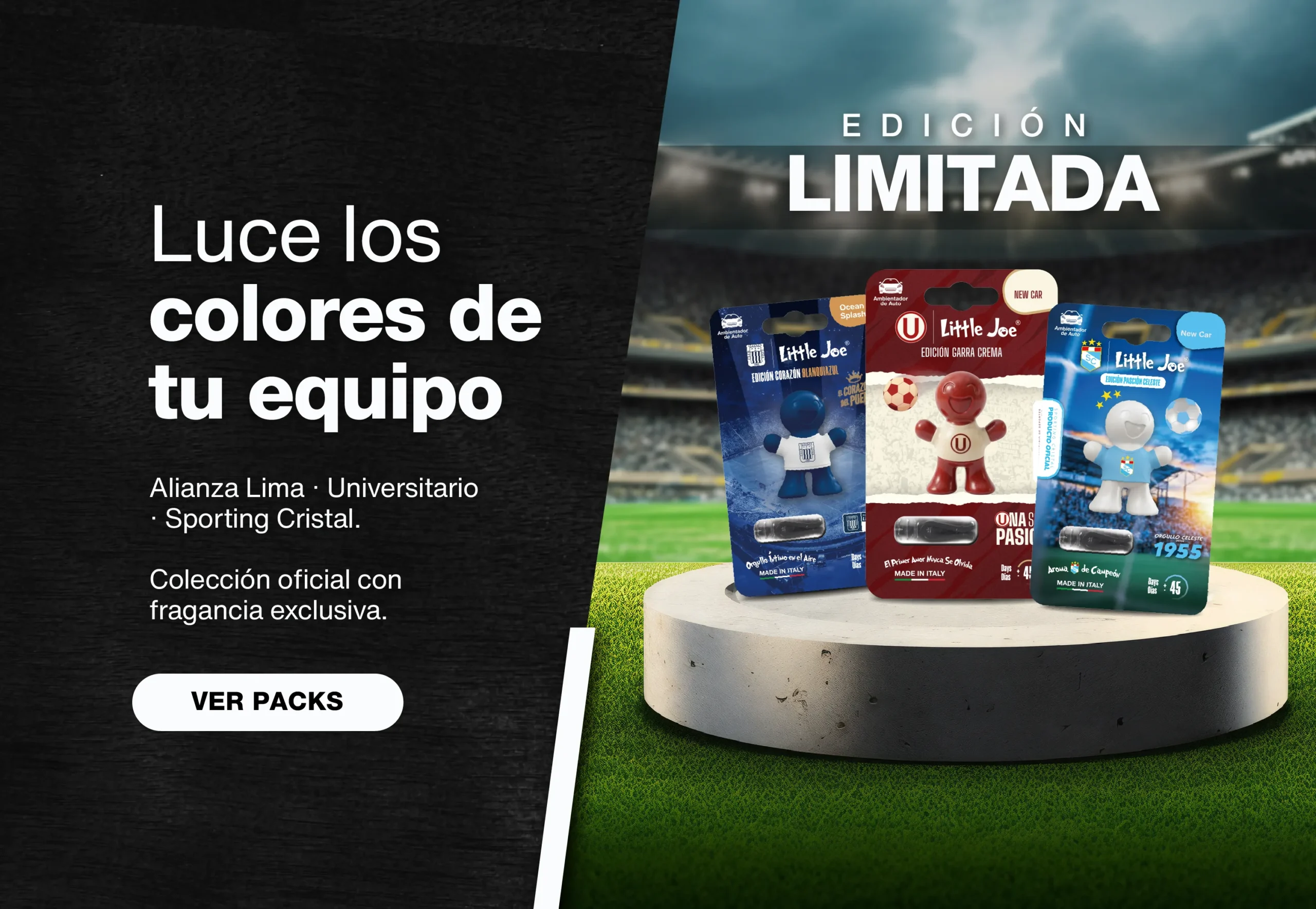 Mesa de trabajo 5 copia-100