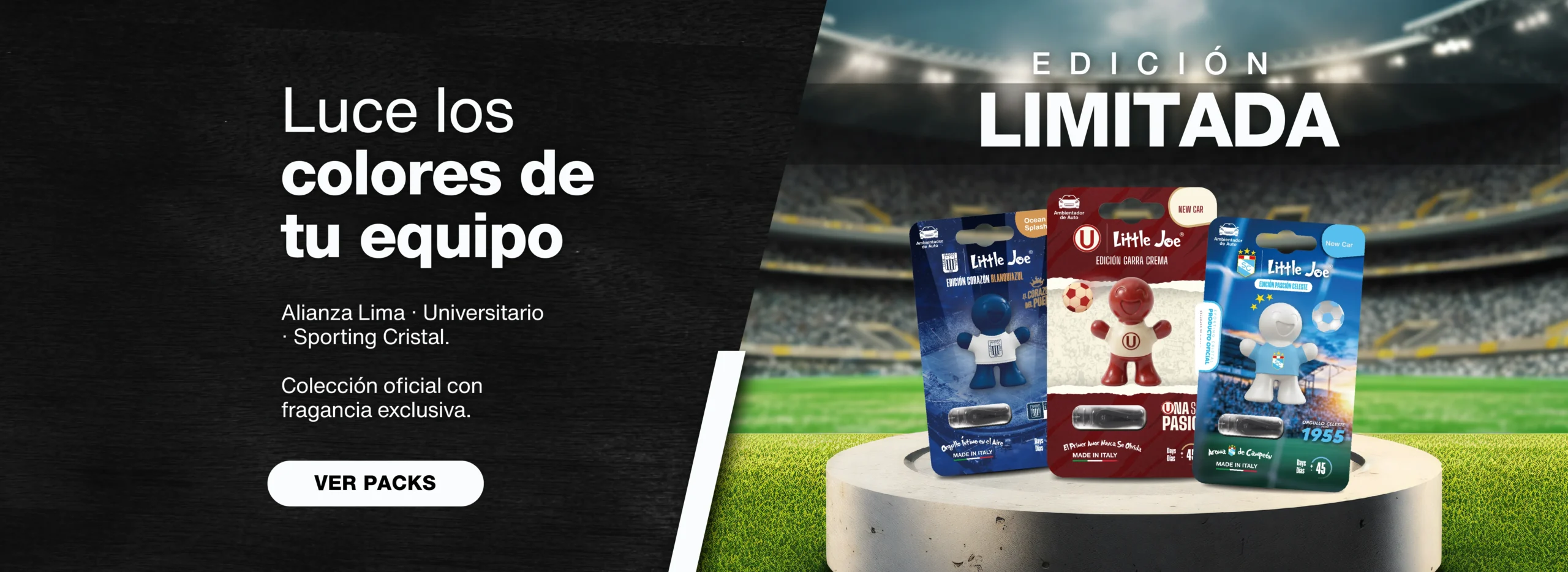 Mesa de trabajo 8 copia-100